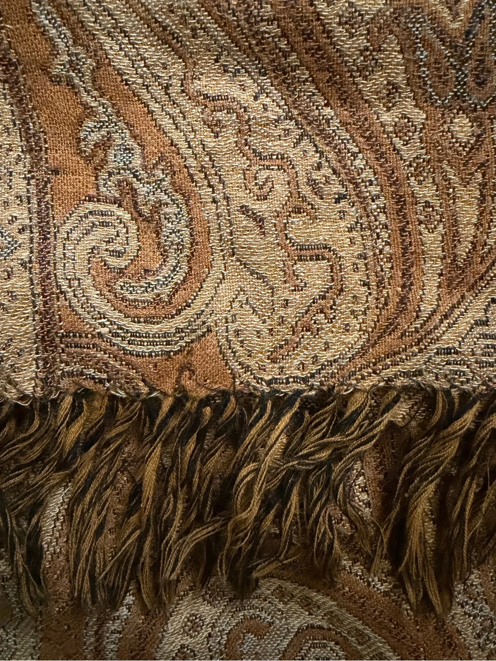 Restoration Hardware Paisley Print Fringe Throw